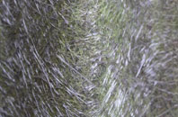 Kiff Green fibreglass roof work